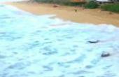 海边无人机实拍，冲浪难怪是那么有成就感！(8.3分体育片)
