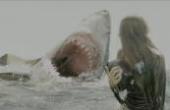 美少女去沙滩冲浪，却险些被鲨鱼吃掉(8.3分电影片)